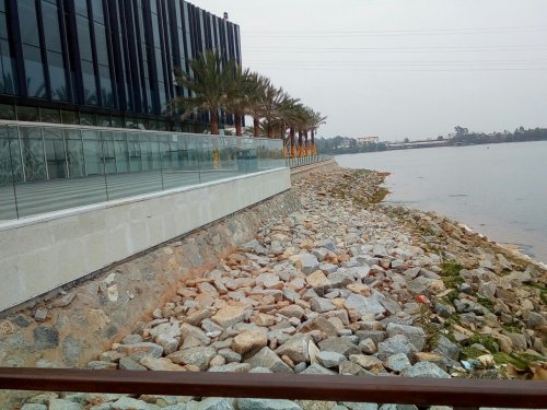 IMG_20100102_225010.jpg IMG_20100102_225010.jpg