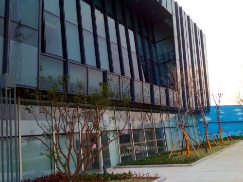 IMG_20100102_225059.jpg IMG_20100102_225059.jpg