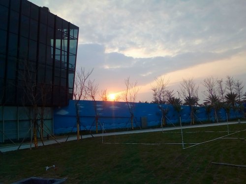 IMG_20100102_225116.jpg IMG_20100102_225116.jpg