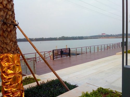 IMG_20100102_225148.jpg IMG_20100102_225148.jpg