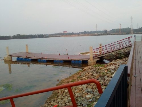 IMG_20100102_225210.jpg IMG_20100102_225210.jpg