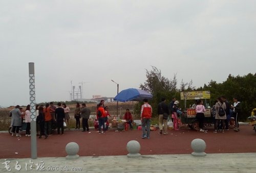 IMG_20100102_145006.jpg IMG_20100102_145006.jpg