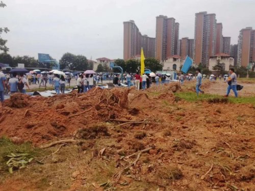 11.webp.jpg 11.webp.jpg