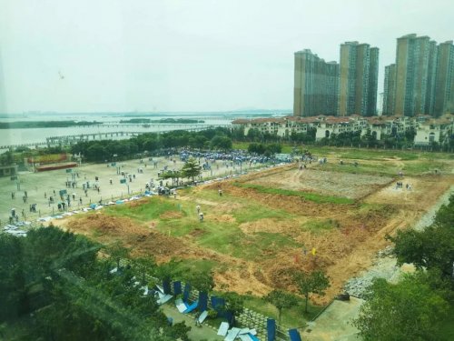 33.webp.jpg 33.webp.jpg