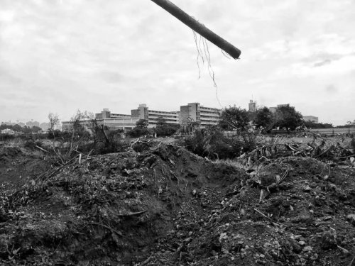 555.webp.jpg 555.webp.jpg