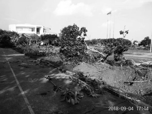 777.webp.jpg 777.webp.jpg