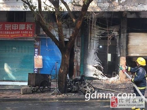 微信图片_20190301084413.jpg 微信图片_20190301084413.jpg