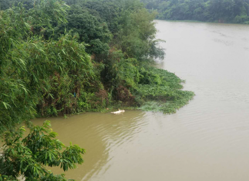 Screenshot_2019_0507_235616.png Screenshot_2019_0507_235616.png