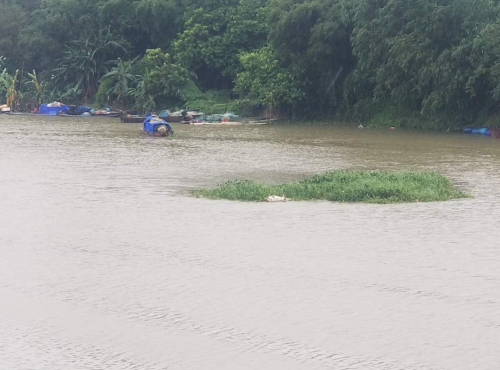 Screenshot_2019_0507_235635.png Screenshot_2019_0507_235635.png