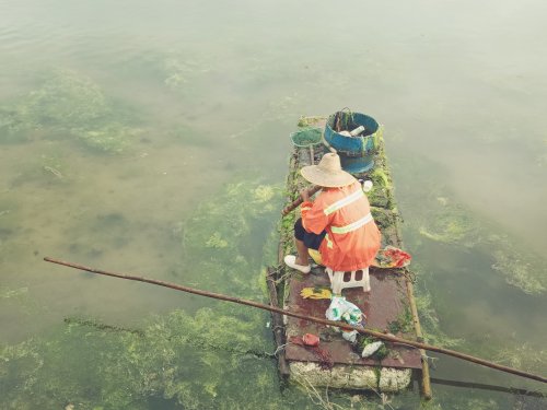 IMG_20190520_014437.jpg IMG_20190520_014437.jpg