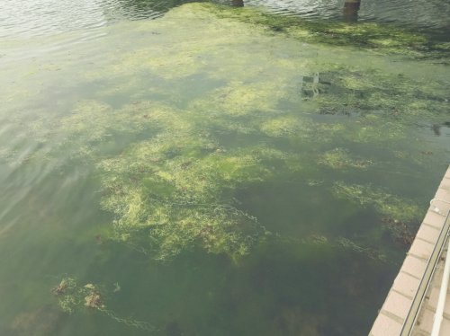 IMG_20190520_014654.jpg IMG_20190520_014654.jpg