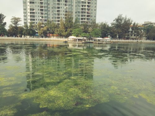 IMG_20190520_014726.jpg IMG_20190520_014726.jpg