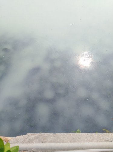 IMG_20190503_093829.jpg IMG_20190503_093829.jpg