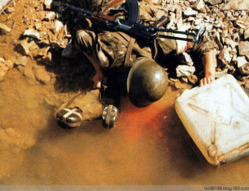 截图1560073974.png 截图1560073974.png