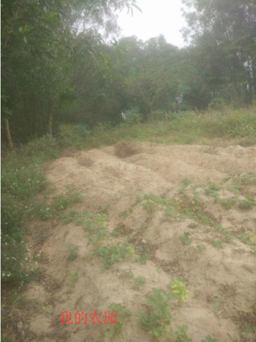 QQ图片20190612103134.png QQ图片20190612103134.png