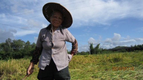 psb (17).jpg psb (17).jpg