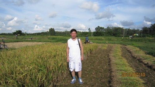 psb (20).jpg psb (20).jpg