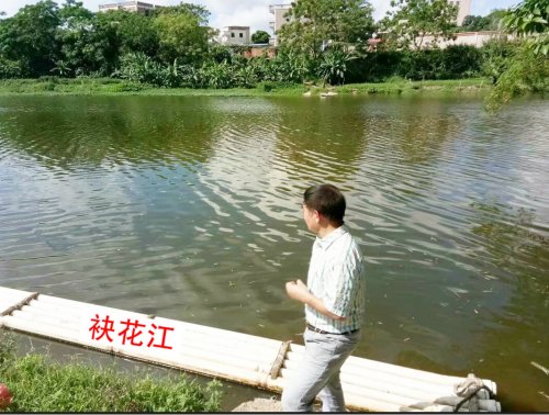 psb (2).jpg psb (2).jpg