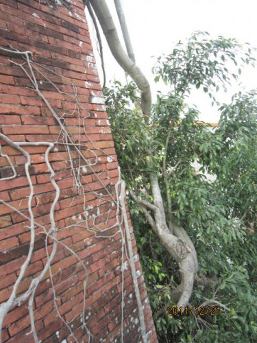 psb (26).jpg psb (26).jpg