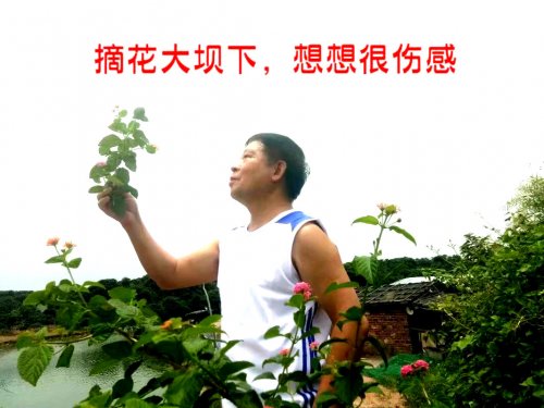 psb (20).jpg psb (20).jpg