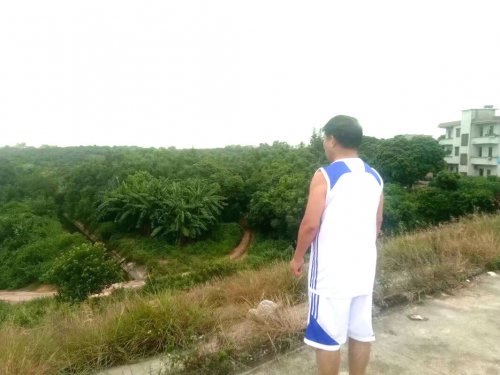 psb (6).jpg psb (6).jpg