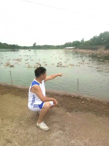 psb (26).jpg psb (26).jpg