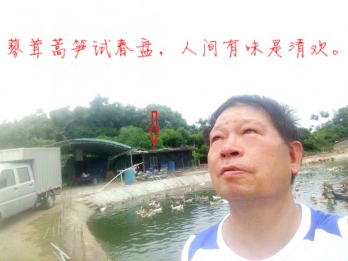 psb (28).jpg psb (28).jpg