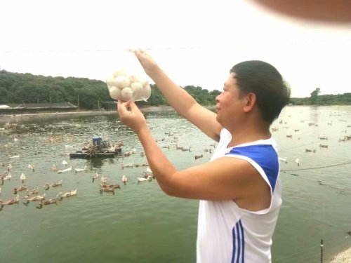 psb (31).jpg psb (31).jpg