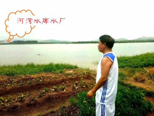 psb (11).jpg psb (11).jpg