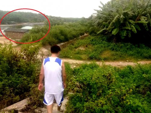 psb (16).jpg psb (16).jpg