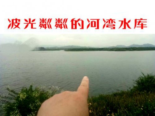 psb (17).jpg psb (17).jpg