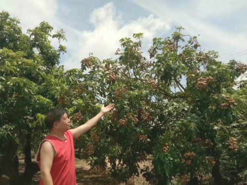 psb (22).jpg psb (22).jpg