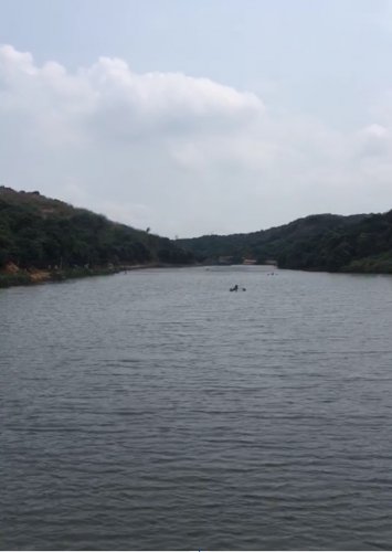 image.jpeg image.jpeg