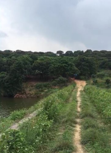 image.jpeg image.jpeg