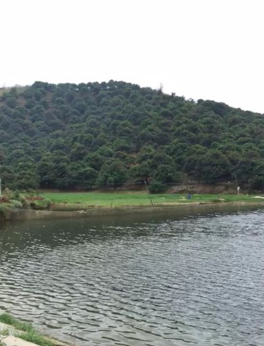 image.jpeg image.jpeg