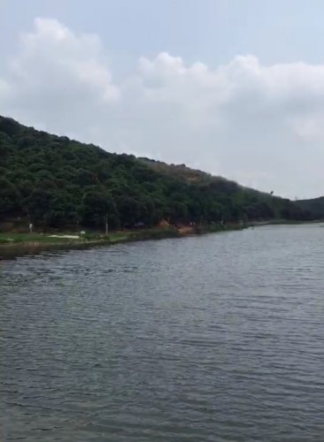 image.jpeg image.jpeg