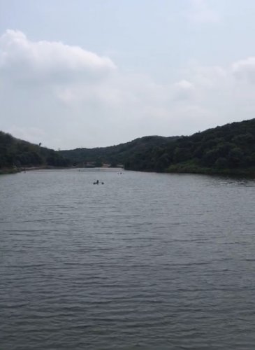 image.jpeg image.jpeg