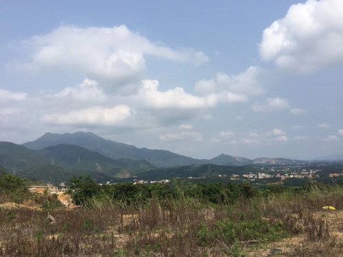 image.jpeg image.jpeg