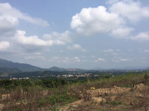 image.jpeg image.jpeg