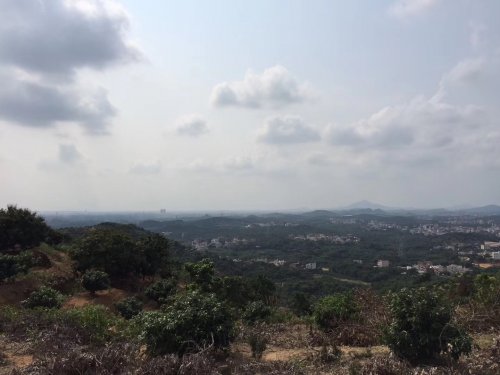 image.jpeg image.jpeg