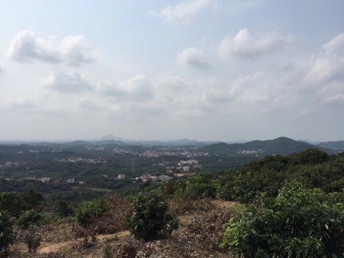 image.jpeg image.jpeg