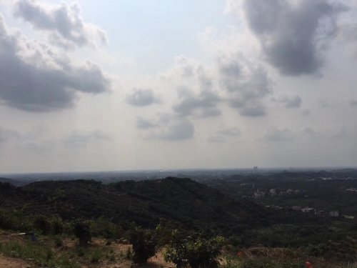 image.jpeg image.jpeg