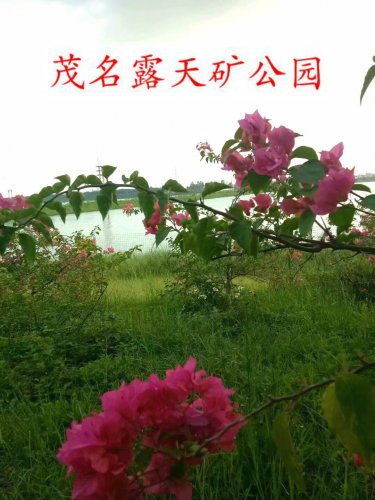 psb (12).jpg psb (12).jpg