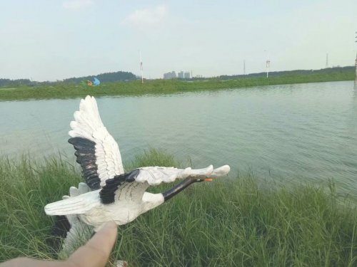 psb (14).jpg psb (14).jpg