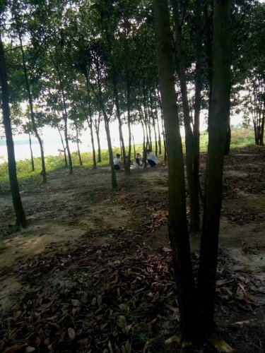 psb (17).jpg psb (17).jpg