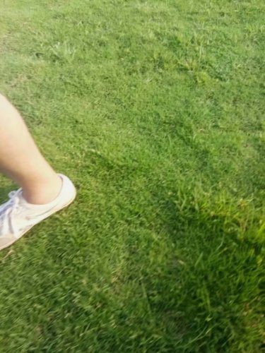 psb (2).jpg psb (2).jpg