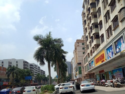 IMG_20190917_102250.jpg IMG_20190917_102250.jpg