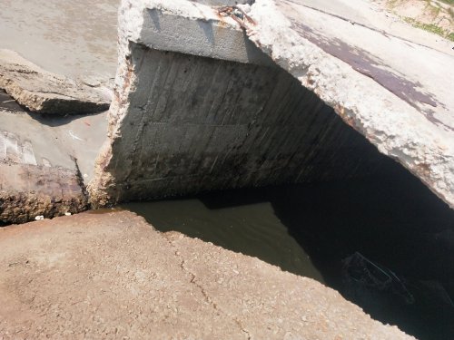 IMG20191026112441.jpg IMG20191026112441.jpg