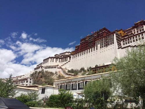 image.jpeg image.jpeg