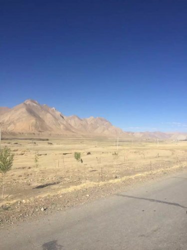 image.jpeg image.jpeg